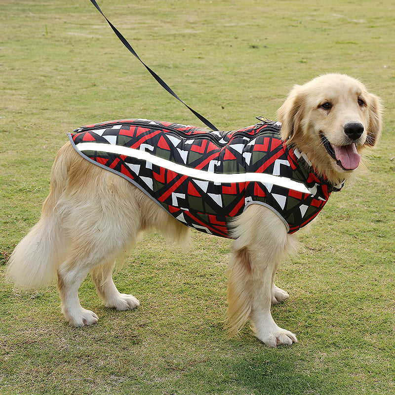 The Breeze-On-Fur Mesh Jacket: For Dogs Who Want to Look Cool and Stay Cool!