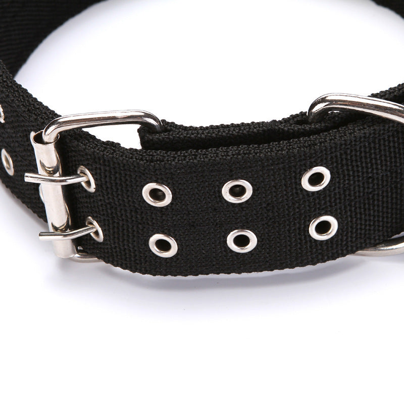 Collar of Fame: The Ultimate Accessory for Your Pup's Red-Carpet Moments!