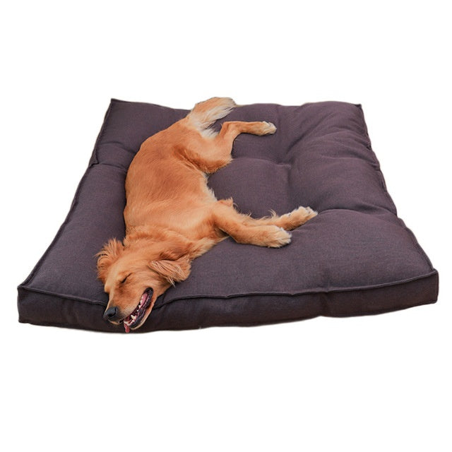 Cloud Nine Canine: The Pillow Bed That Turns Your Dog into a Snooze Master!