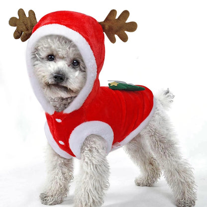 Santa Paws Is Coming to Town: The Ultimate Christmas Costume for Tiny Tails