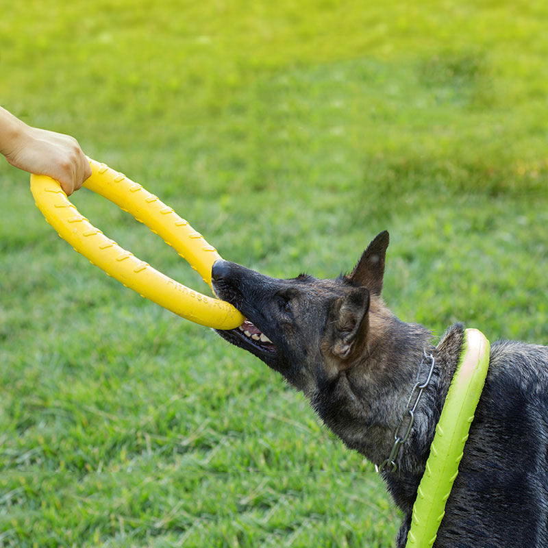 Fetch & Flex: The Ultimate Tug-of-War Training Ring for Your Pup