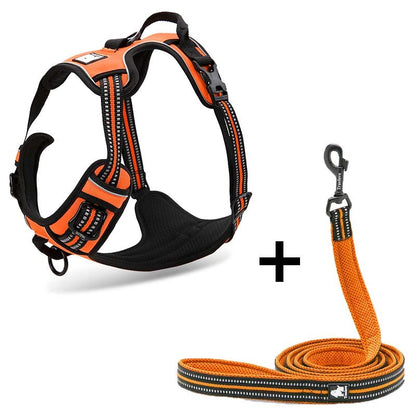 The Bark-Boost Harness: For Pups Who Need a Little Extra ‘Get Up and Go!’