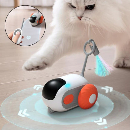 Meow-Mobile: The Remote-Controlled Cat Racer That’s More Fun Than a Laser Pointer!