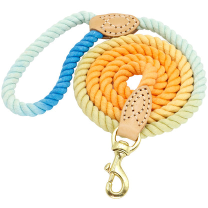 The Double Trouble Leash: Tame Two Dogs, Tangle-Free (Well, Mostly)!