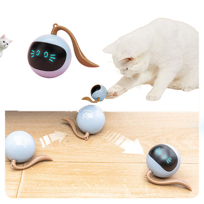 Disco Paw-ty: The Colorful LED Ball That Gets Your Pet Grooving!