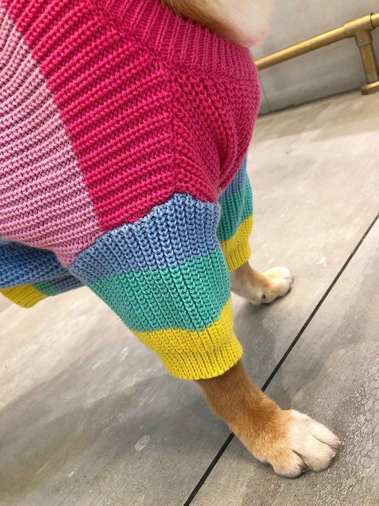 Color Me Woof: The Rainbow Sweater That Turns Your Pup Into a Walking Pot of Gold!