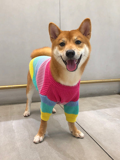 Color Me Woof: The Rainbow Sweater That Turns Your Pup Into a Walking Pot of Gold!