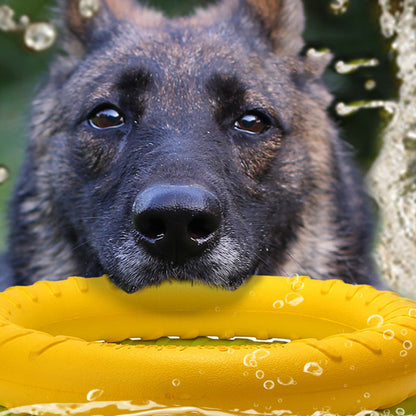 Fetch & Flex: The Ultimate Tug-of-War Training Ring for Your Pup