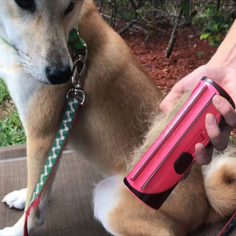 Fur-Get-Me-Not: The Ultimate Pet Hair Comb and Lint Roller for Tidy Tails and Spotless Sofas!