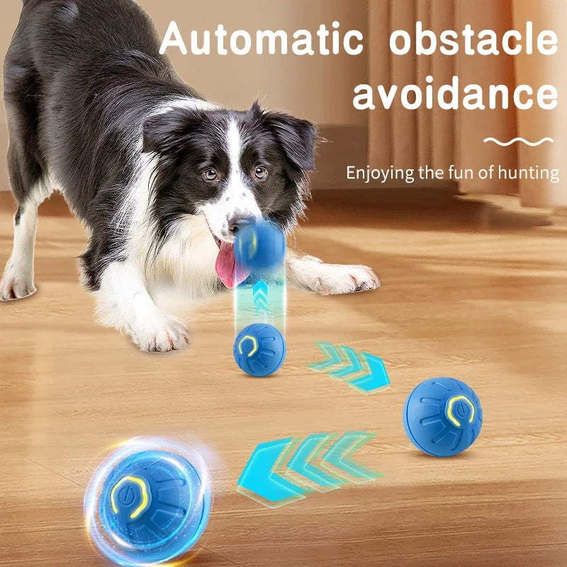 Smarty-Paws Bouncing Ball: The USB-Powered Pet Toy That Won't Sit Still!