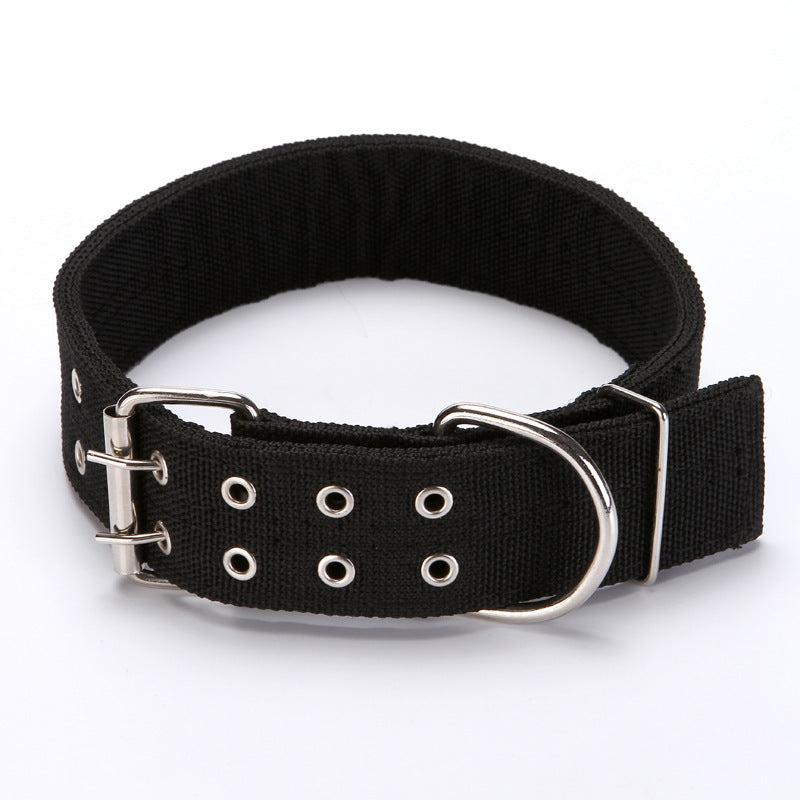 Collar of Fame: The Ultimate Accessory for Your Pup's Red-Carpet Moments!