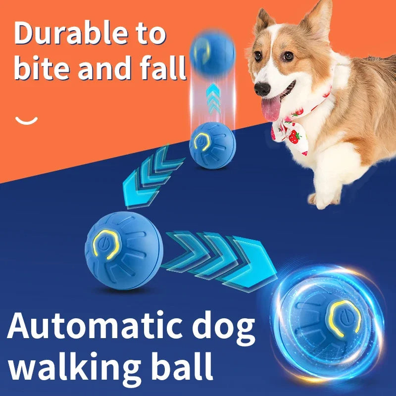 Smarty-Paws Bouncing Ball: The USB-Powered Pet Toy That Won't Sit Still!