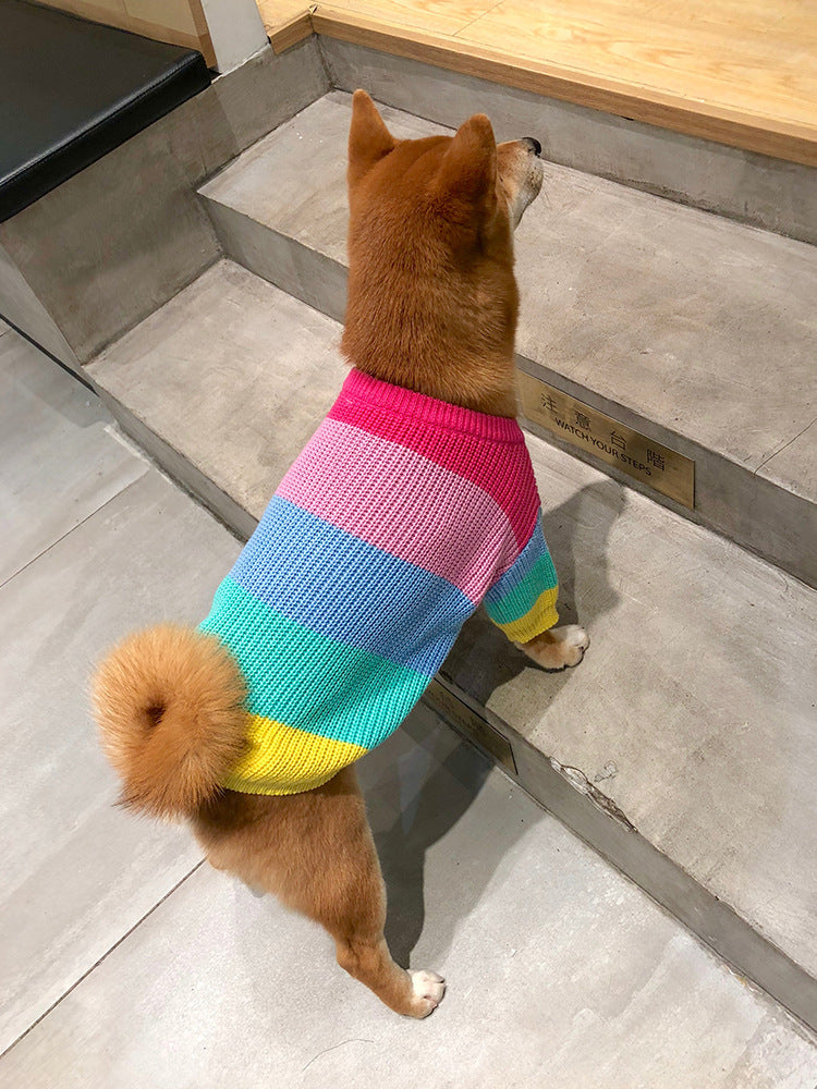 Color Me Woof: The Rainbow Sweater That Turns Your Pup Into a Walking Pot of Gold!