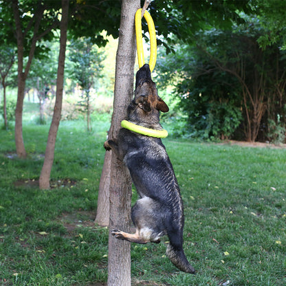 Fetch & Flex: The Ultimate Tug-of-War Training Ring for Your Pup