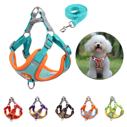 The Pup Patrol: Reflective Leash & Harness Set for Tiny Trailblazers!