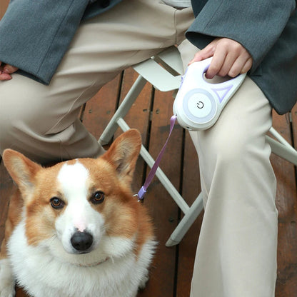 Leash of Legend: with Built-In Flashlight for Epic Walks Day and Night!