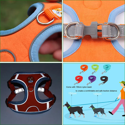 The Pup Patrol: Reflective Leash & Harness Set for Tiny Trailblazers!