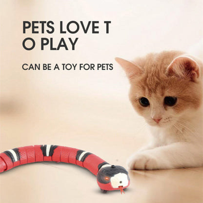 Fuzzy Frenzy: The Electric Snake Toy That’s More Fun Than a Laser Pointer!