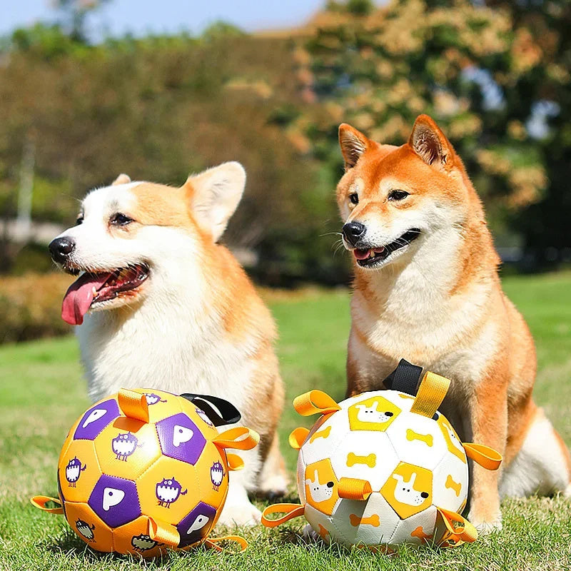 FIFA Fetch: The Soccer Ball That’s Ready to Kick Off Your Dog’s MVP Training!