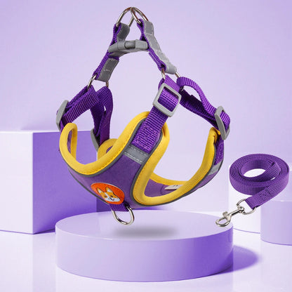 The Pup Patrol: Reflective Leash & Harness Set for Tiny Trailblazers!