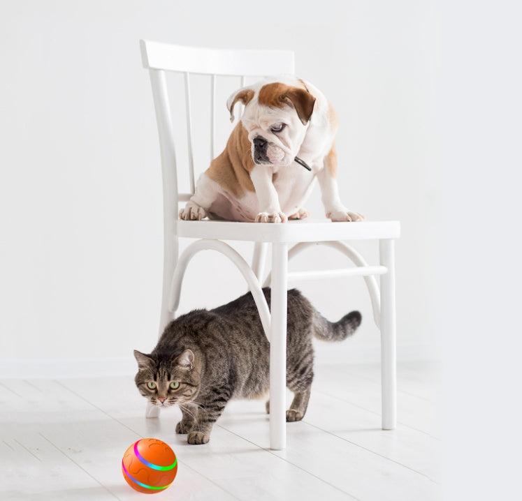 Purr-plexing Orb: The Self-Rotating Cat Toy That’s Too Smart for Its Own Good!