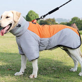 The Frost-Bite Fighter: The Dog Coat That Turns Chilly Walks into Cozy Adventures!