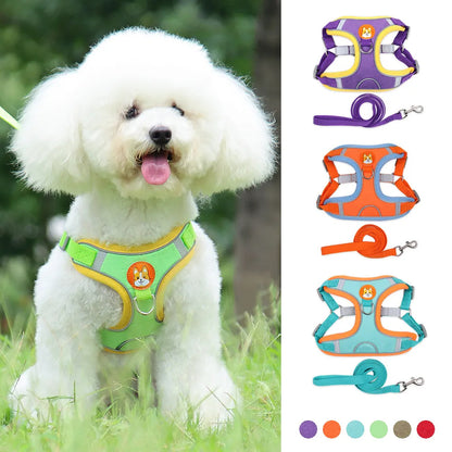 The Pup Patrol: Reflective Leash & Harness Set for Tiny Trailblazers!