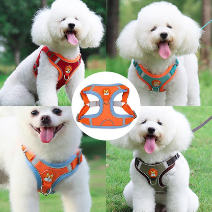 The Pup Patrol: Reflective Leash & Harness Set for Tiny Trailblazers!