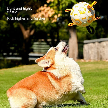 FIFA Fetch: The Soccer Ball That’s Ready to Kick Off Your Dog’s MVP Training!